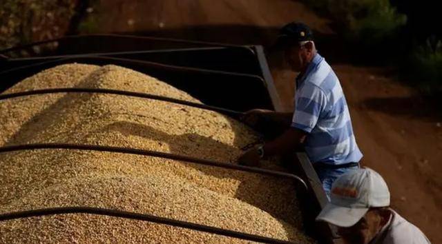 巴西政府提供300亿雷亚尔信贷帮助企业应对美国关税