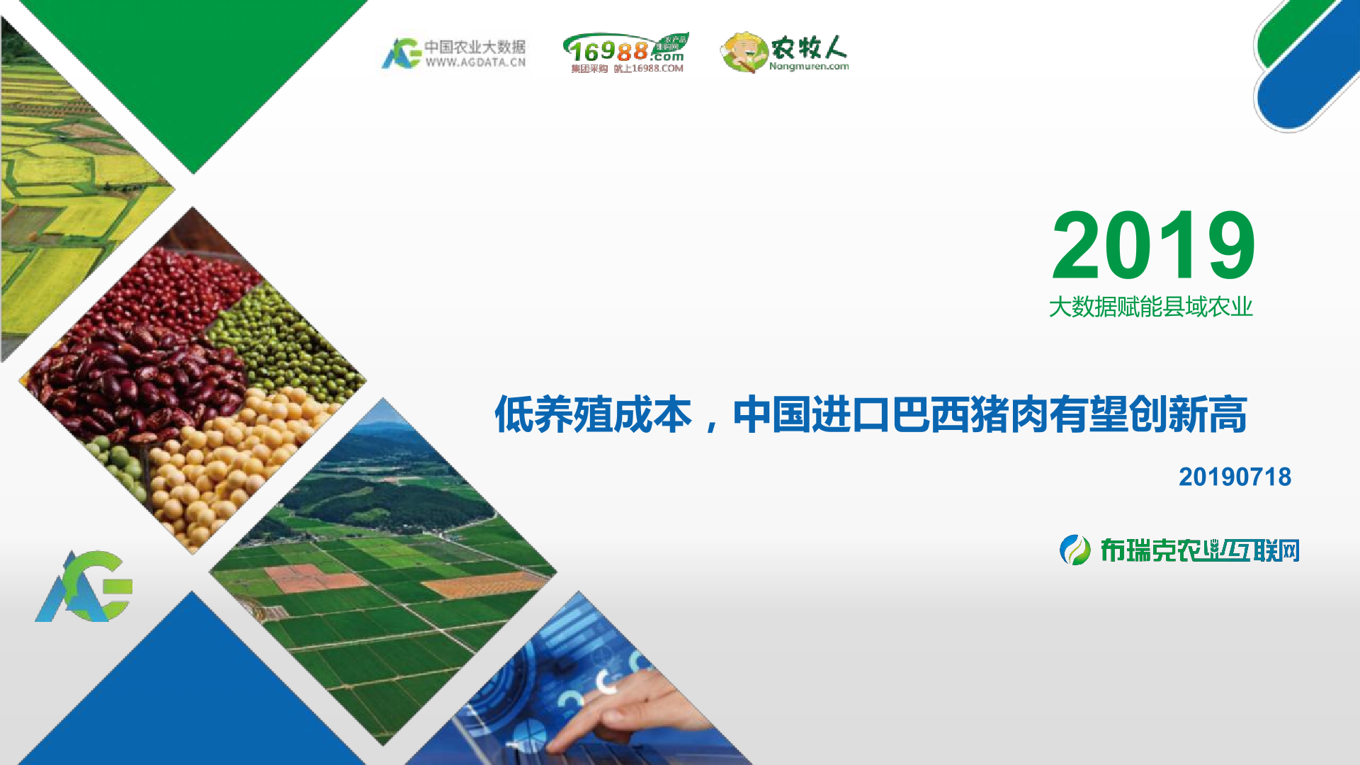 8月份巴西猪肉出口增长2.8%