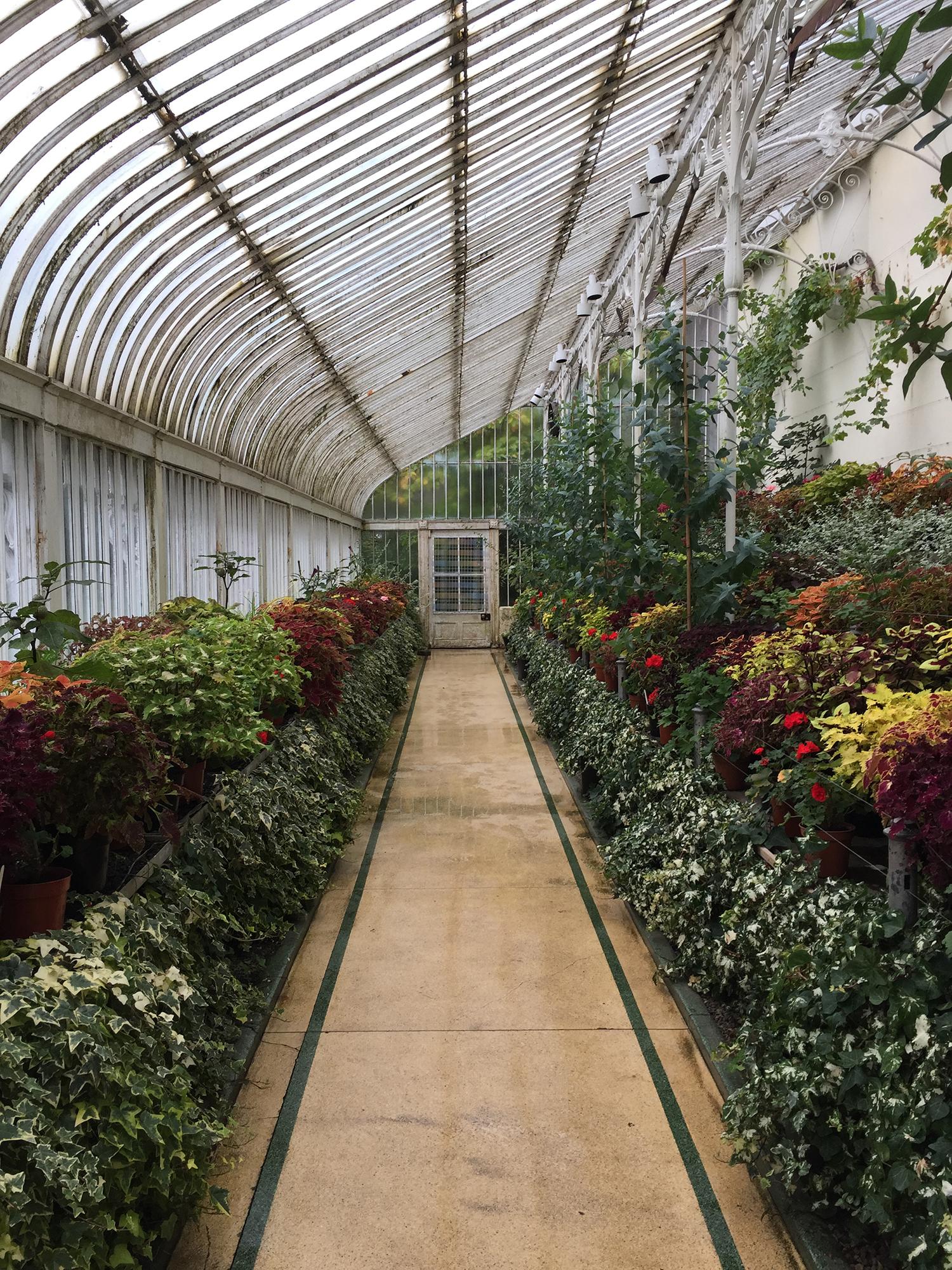 驻多米尼克使馆回访多农业部赴华培训学员代表