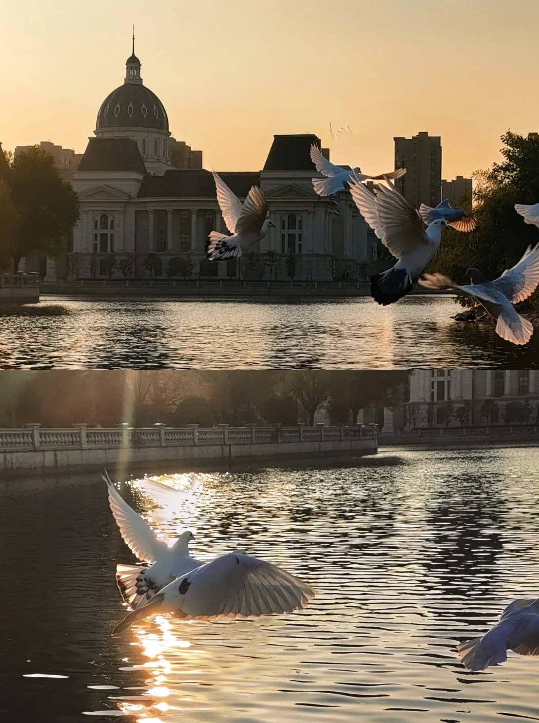 1-7月哈农业总产值达2.4万亿坚戈