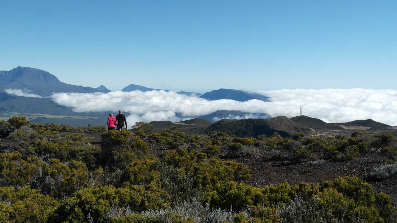 1至8月毛里求斯旅游市场表现强劲