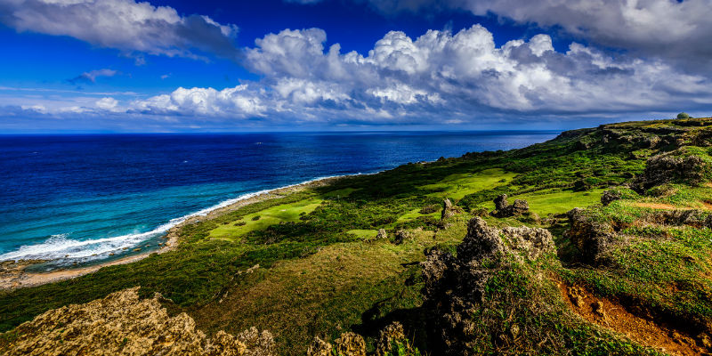 台海观澜| 张亚中向前一步，其他人原地踏步