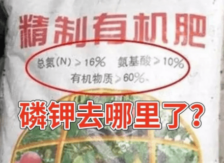 国际化肥发展中心发布非洲主要化肥进口国情况