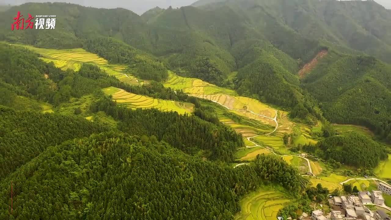 曹县的“逆袭”，从一根网线开始 | 丰收新图景