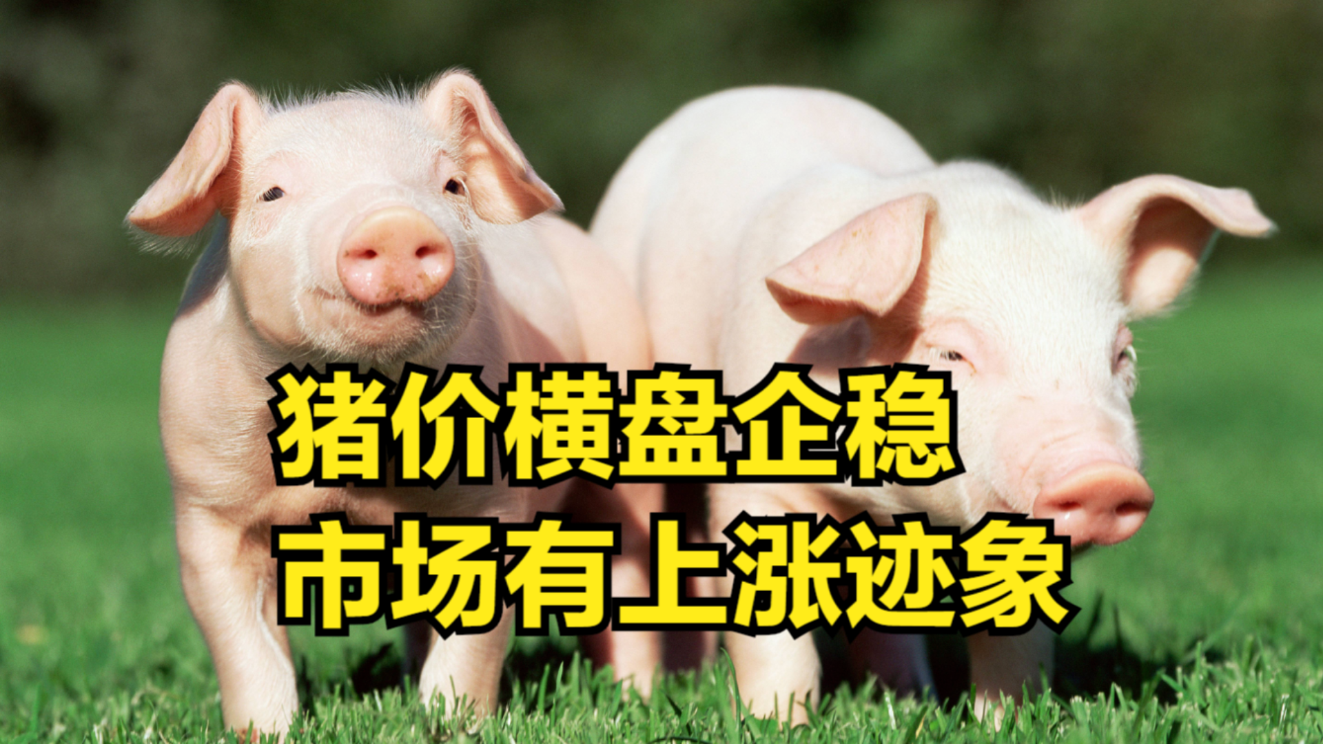 香港二手房价格微跌 呈磨底企稳迹象