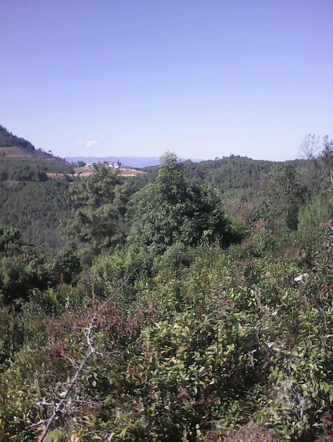 云南普洱市景谷县发生3.0级地震