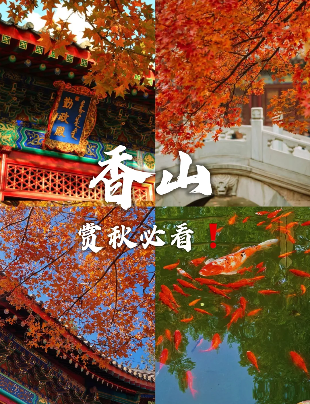 北京赏秋必看：层叠的北京
