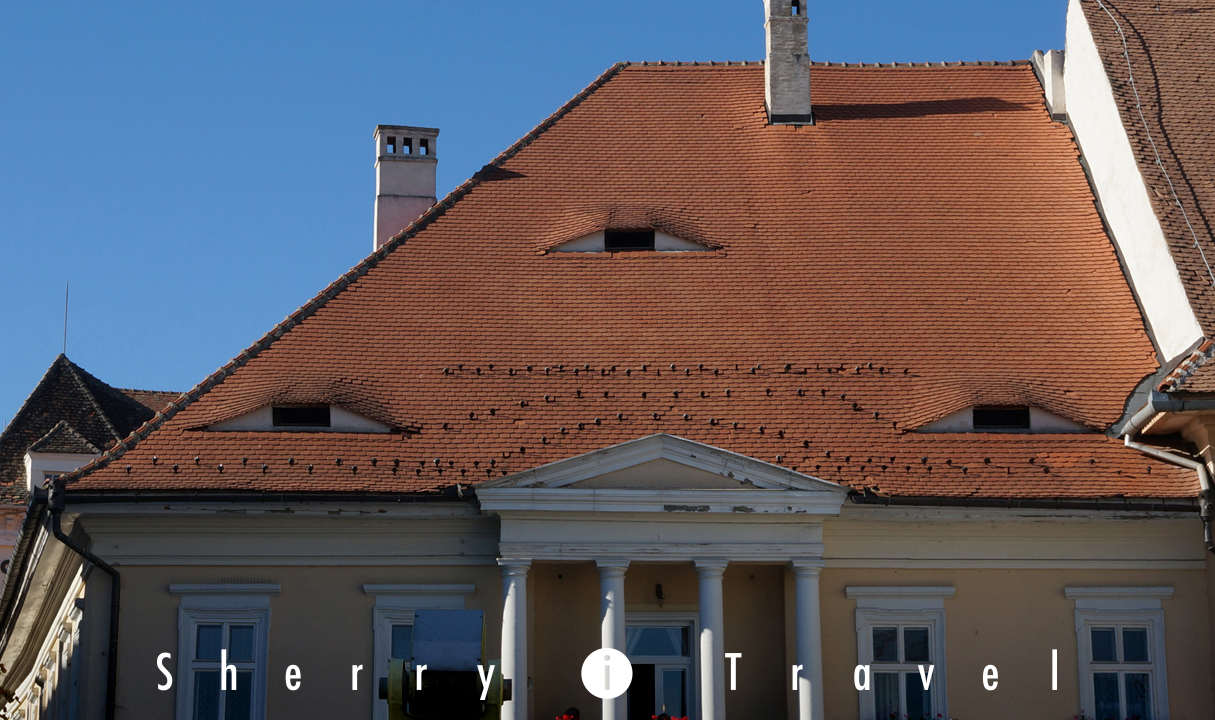 罗马尼亚年通胀率急剧上升，8月份达到9.9%