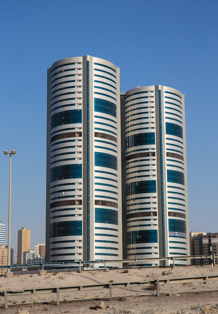 时隔七年 沙迦酋长国拟再度发行主权熊猫债