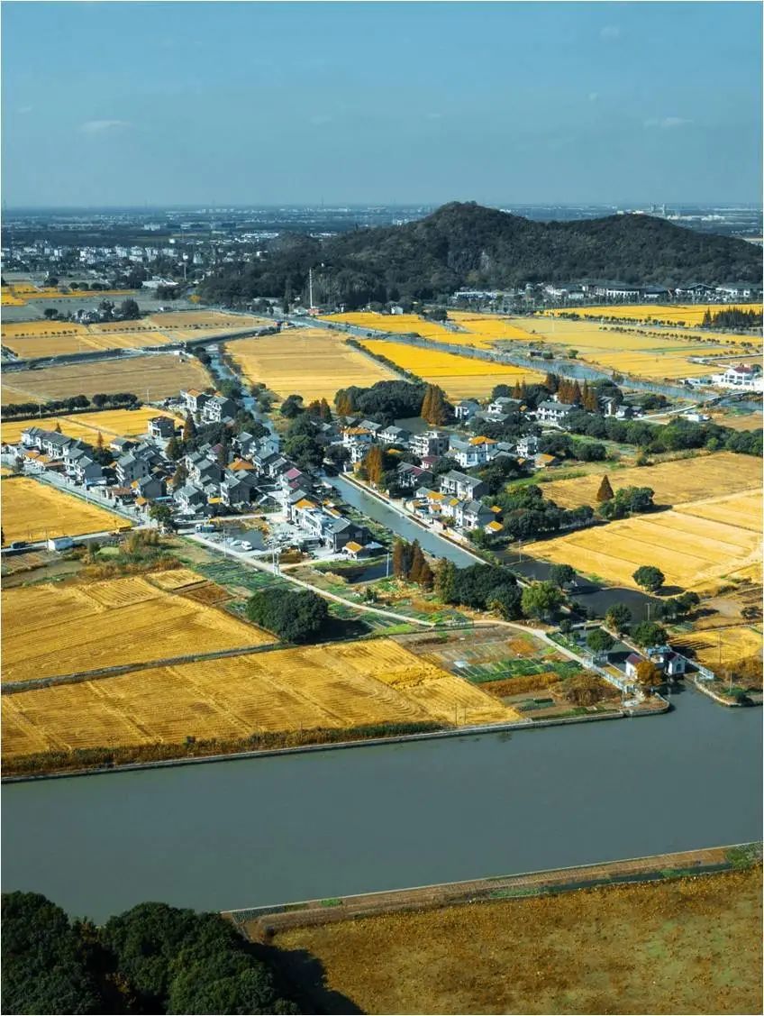 上海：至“十五五”期末布局20个以涉农区为服务范围、服务功能齐全的区域农业综合服务中心