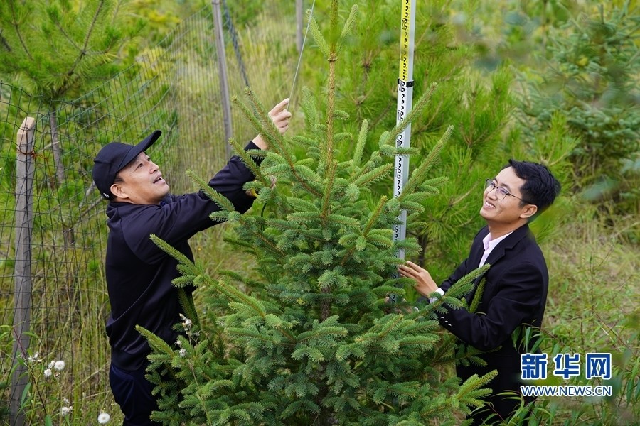 2020―2024年全球绿色投资超过1万亿美元