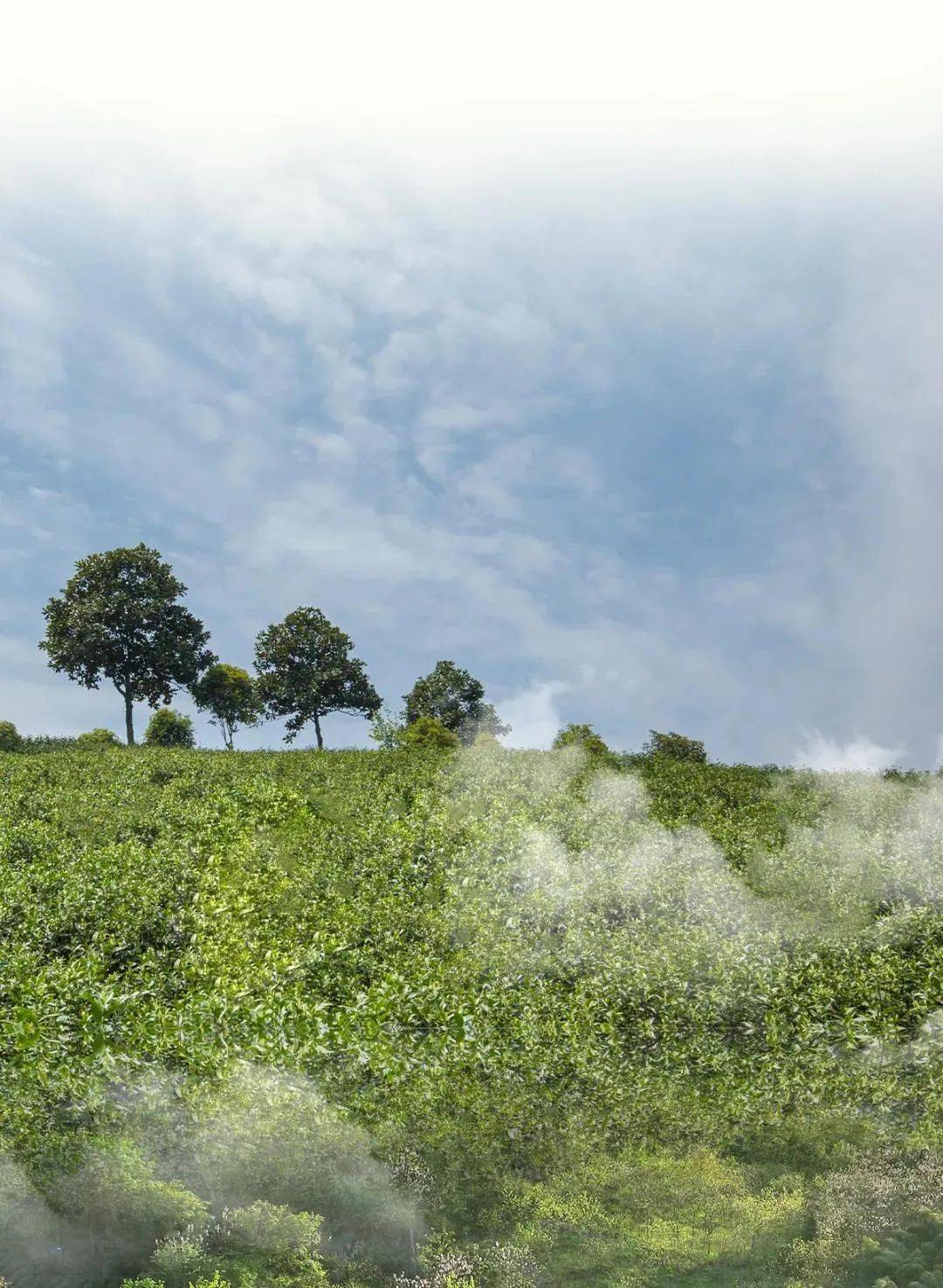 《中国绿色GDP绩效评估报告（2025年全国卷）》正式发布