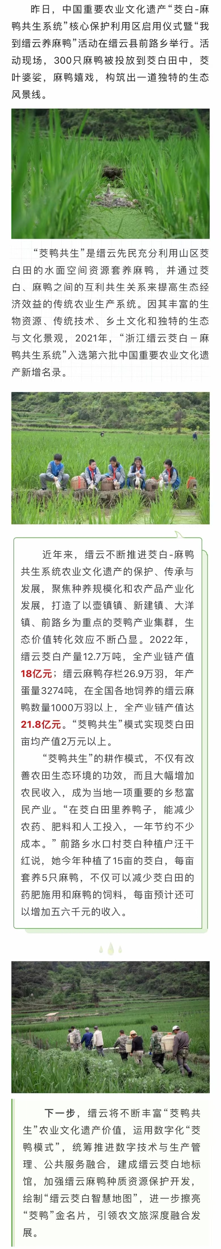 文化IP擦亮地方名片 “硬件更新”更需“内容焕新”