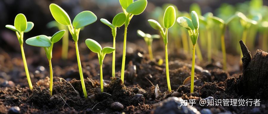 陈春花：决定企业生命力的四个关键