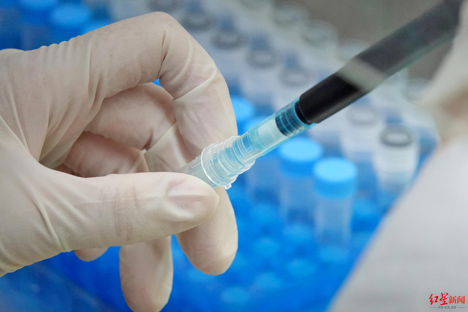 “85后”程序员的数据服务生意冲刺IPO:3年半赚超22亿元、毛利率超90%