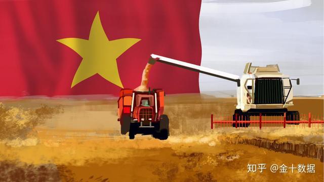 今年前3季度柬埔寨大米出口额超4亿美元