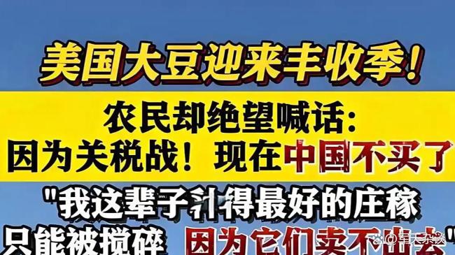 特朗普针对木材和家具产品的关税政策正式生效