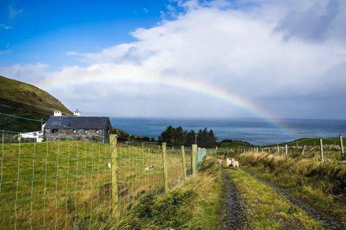 爱尔兰8月份出口和进口均下降