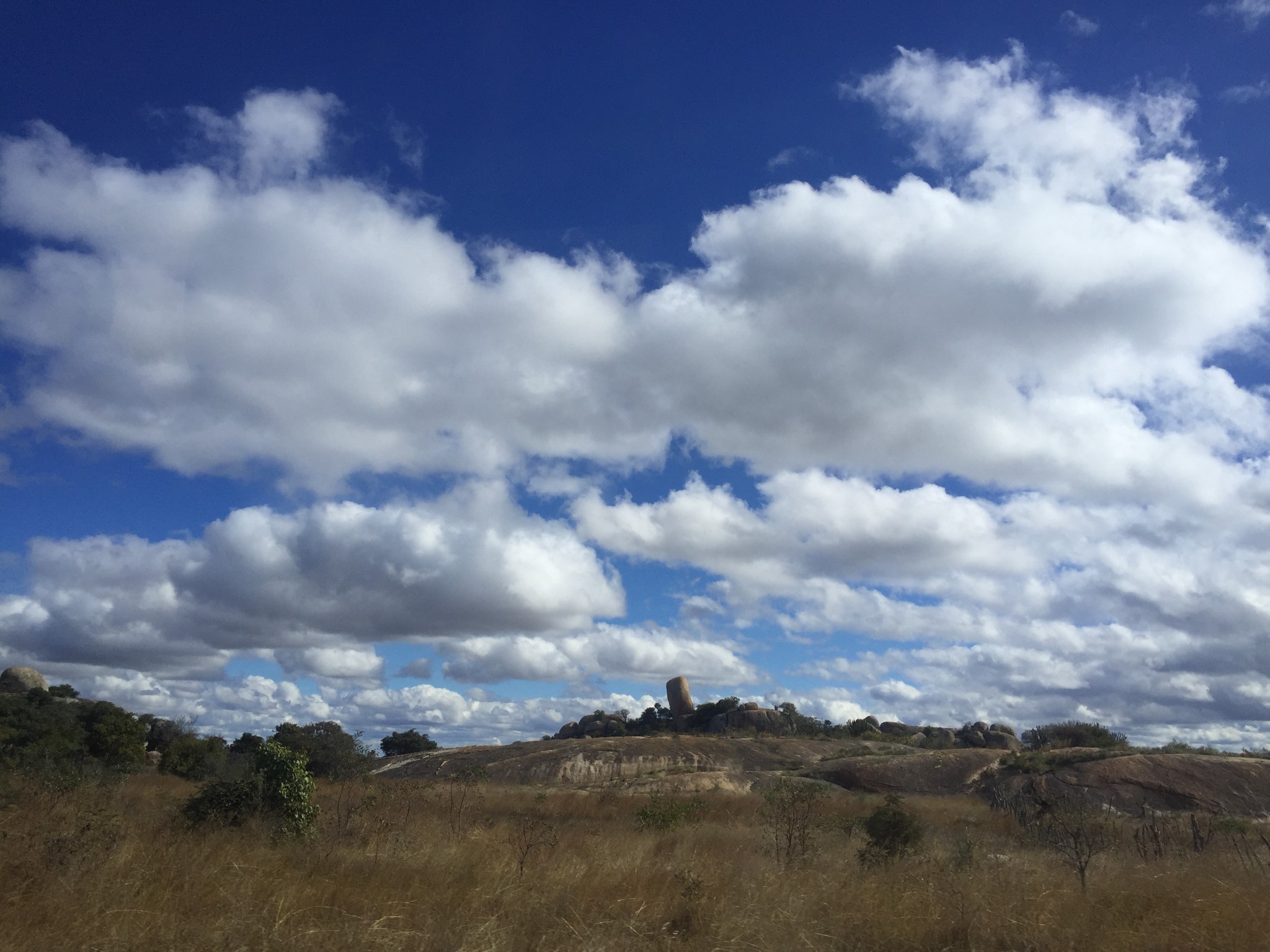 津巴布韦恢复多条铁路客运线路助力旅游与经济发展