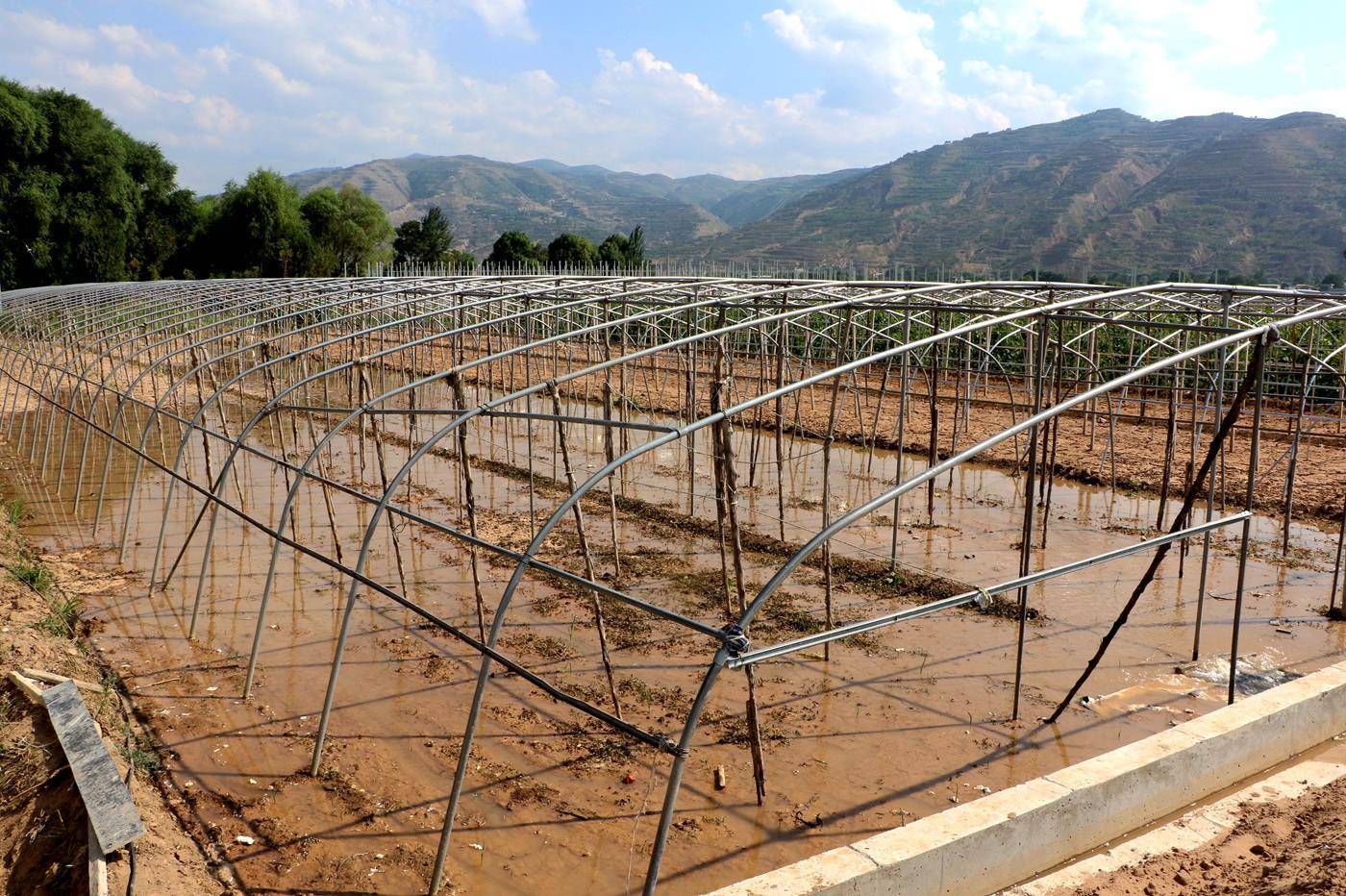 乌兹别克斯坦将启用国家水资源登记系统