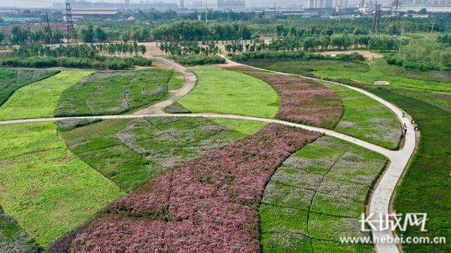 摩洛哥逾50亿美元PPP项目加速推进