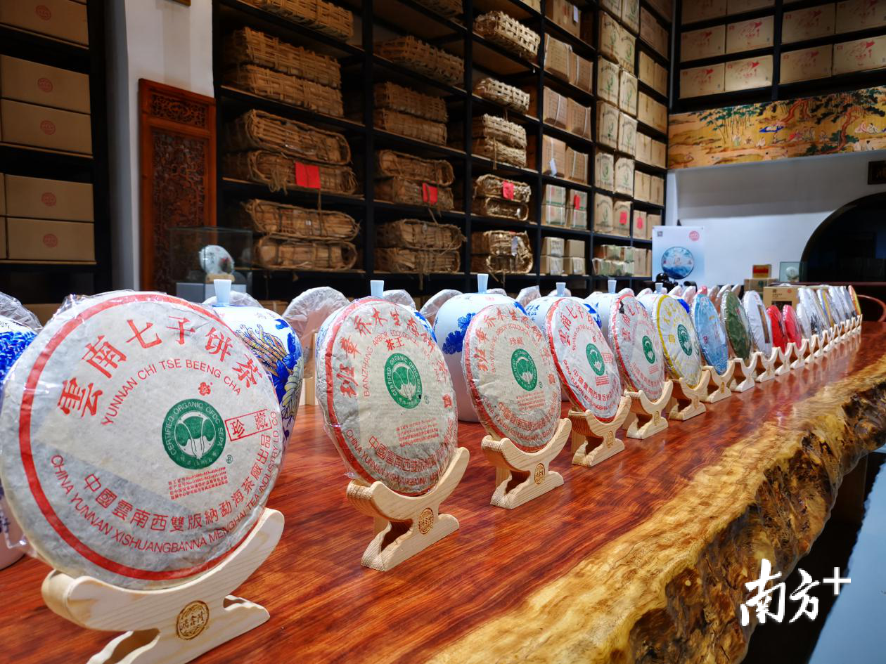 进博会观察|参展商掘金“细分”生意