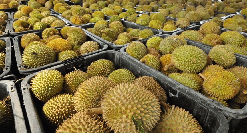 特朗普送惊喜！泰柬马部分商品关税降至零