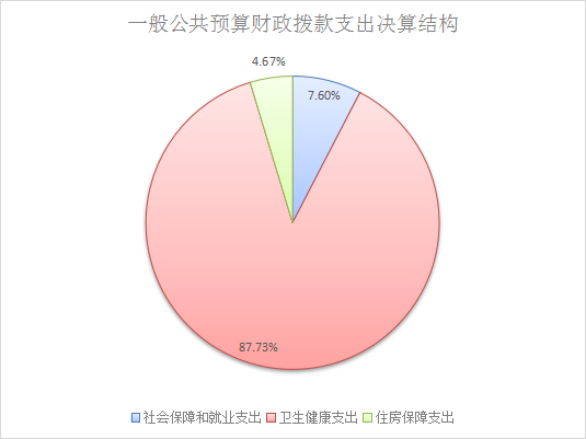 马尔代夫政府向议会提交下一财政年度预算案
