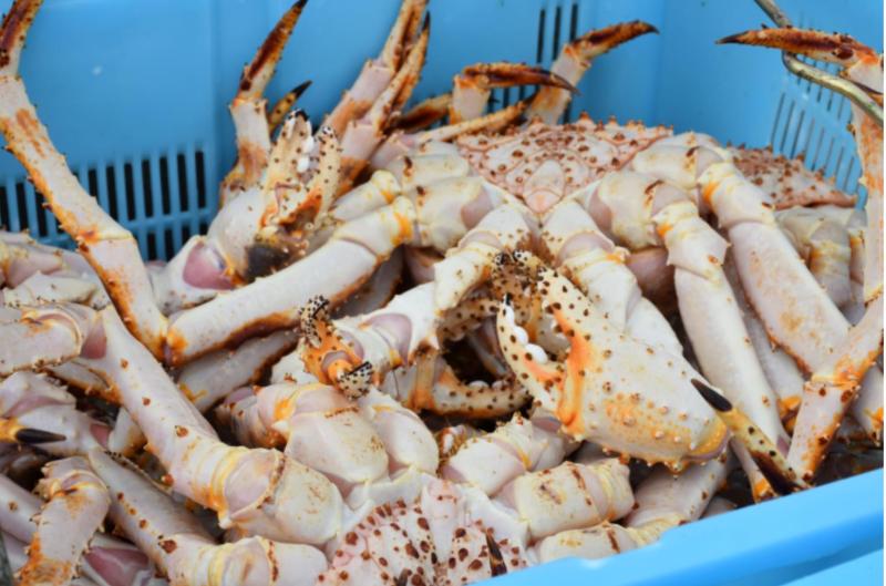 俄罗斯对智利海产品开放市场