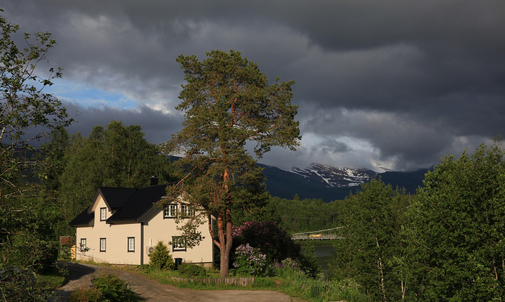 卑尔根：漫长雨季里的阳光