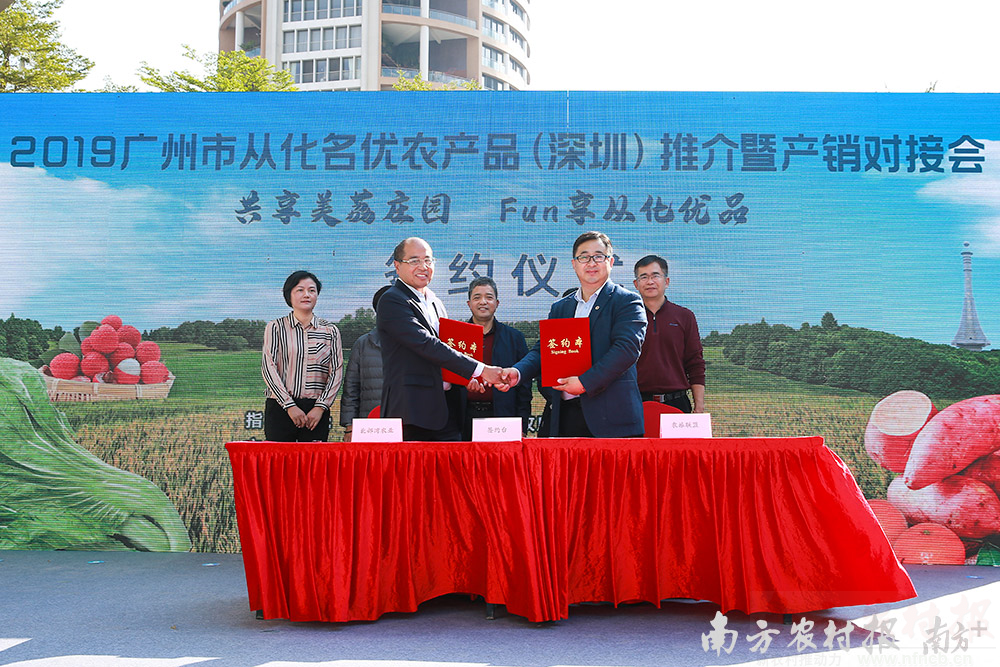 深圳国产操作系统生态建设推进中心公司成立