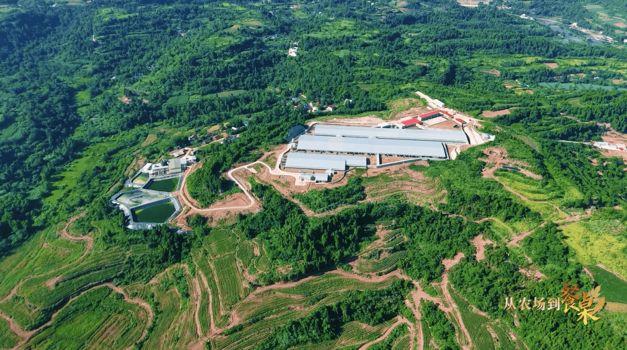 第19届迪拜航展聚焦可持续航空与绿色转型