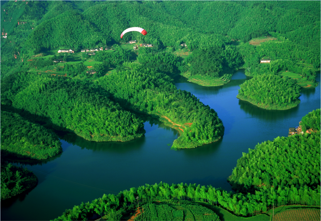 全球城市绿色低碳透明度指数（CGTI）：信息公开如何驱动全球城市绿色低碳转型？