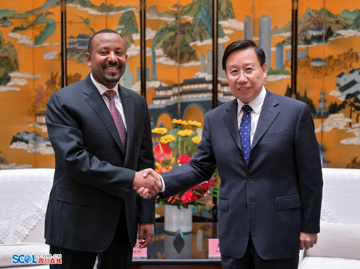 王晖参赞会见几内亚安全和民事保护部长