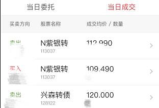 紫银转债到期倒计时不足9个月 投资者追问转股预期