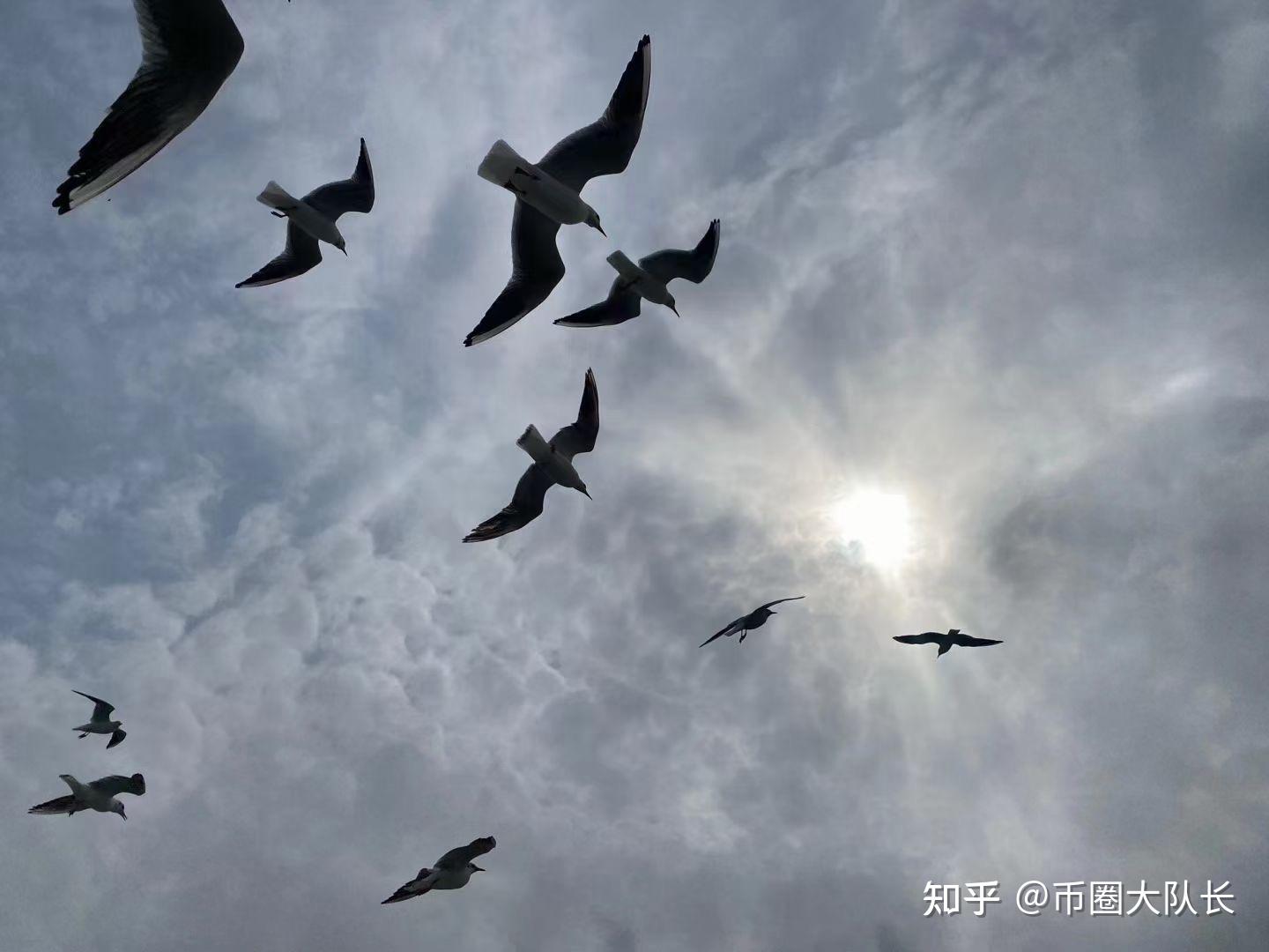 香港百亿数字绿债落槌 全球首次应用央行数币交收