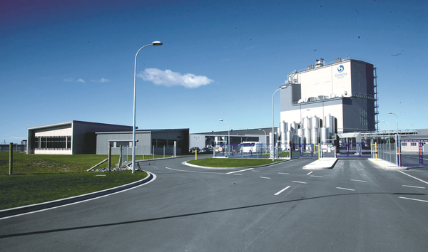 驻奥克兰总领馆经商处参访新西兰春绵乳业