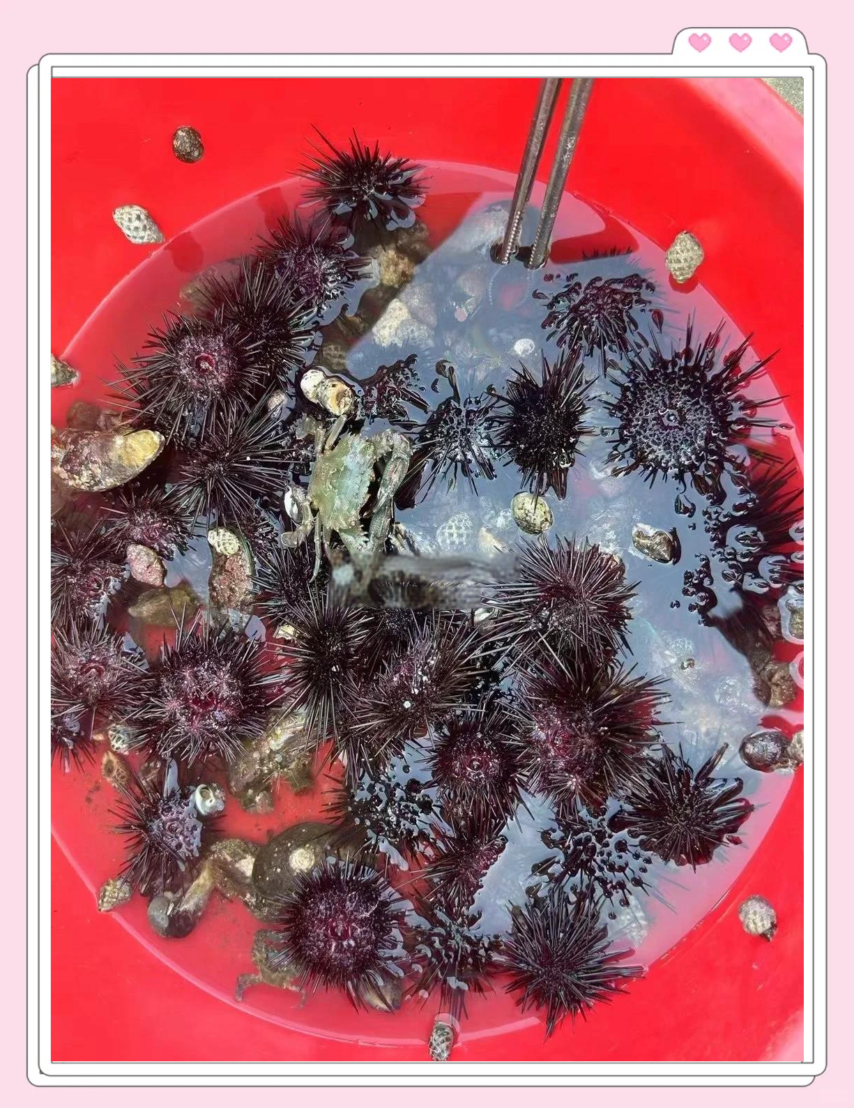 福建板块继续活跃 平潭发展等多股涨停