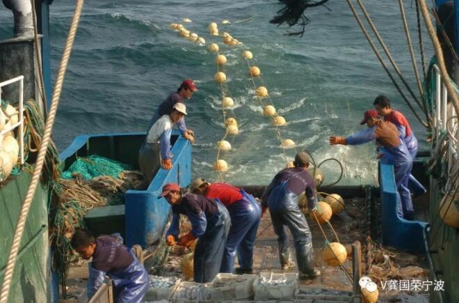 保险服务“出海”