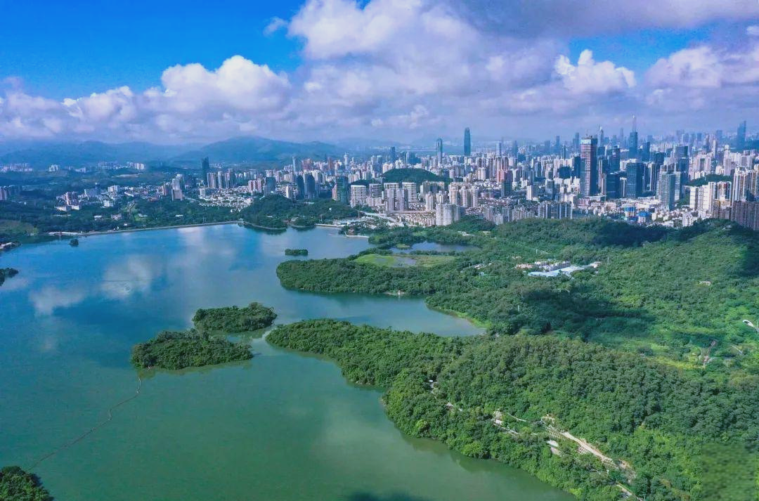 全国首发！深圳样板引领行业转型 《“好房子与美好住区”深圳倡议》树立时代标杆