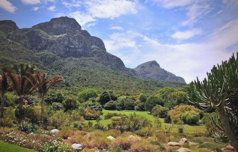 加纳将开展十年来首次大规模矿业审计