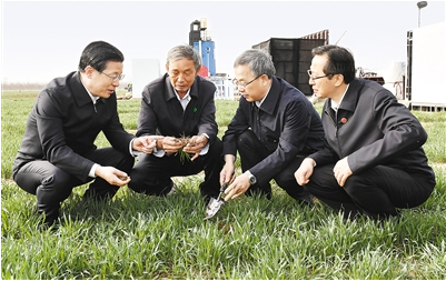 农业农村部党组召开会议强调 深入学习贯彻习近平总书记重要讲话精神 扎实做好乡村特色产业发展、农业科技创新等工作