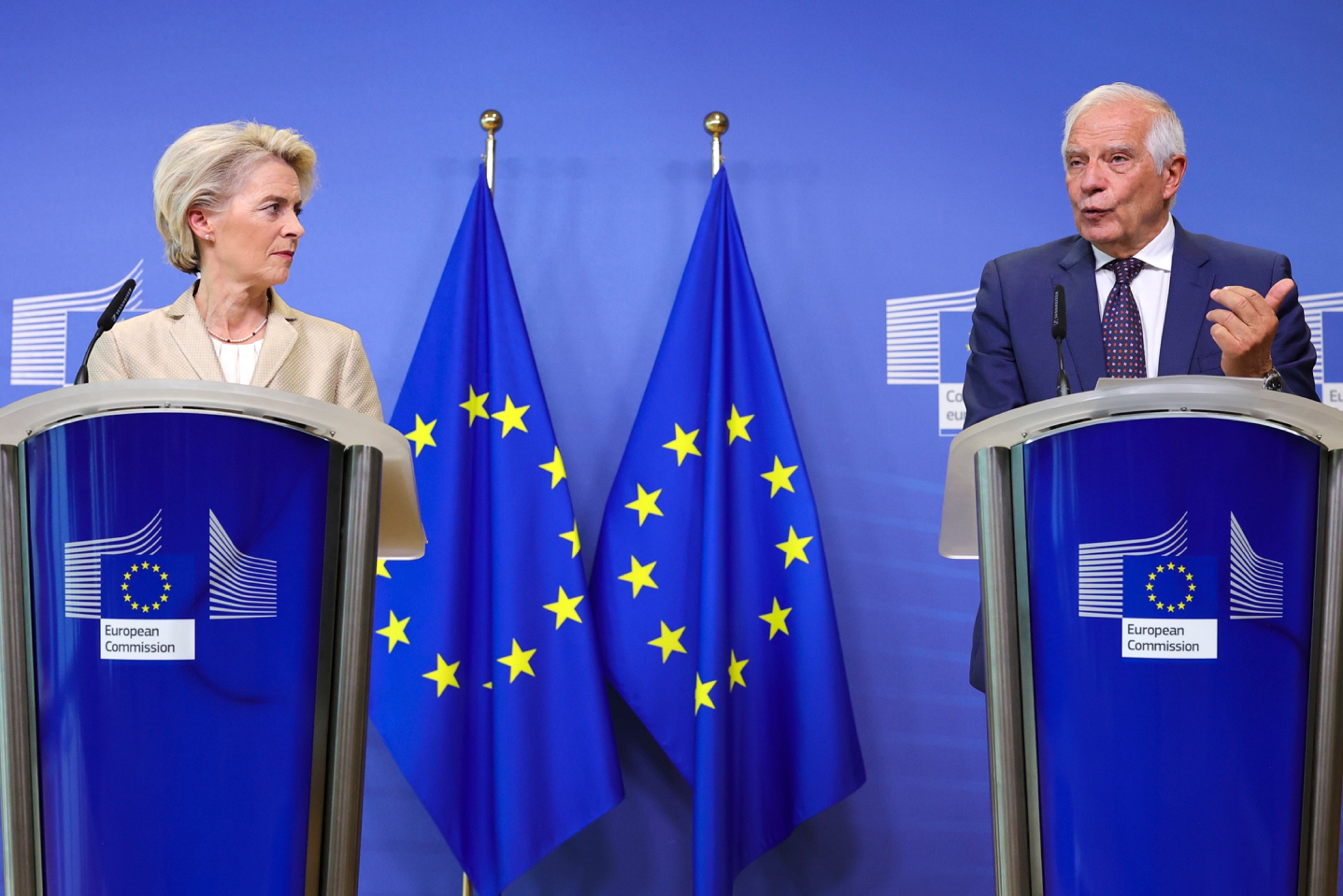 爱尔兰将选出新总统