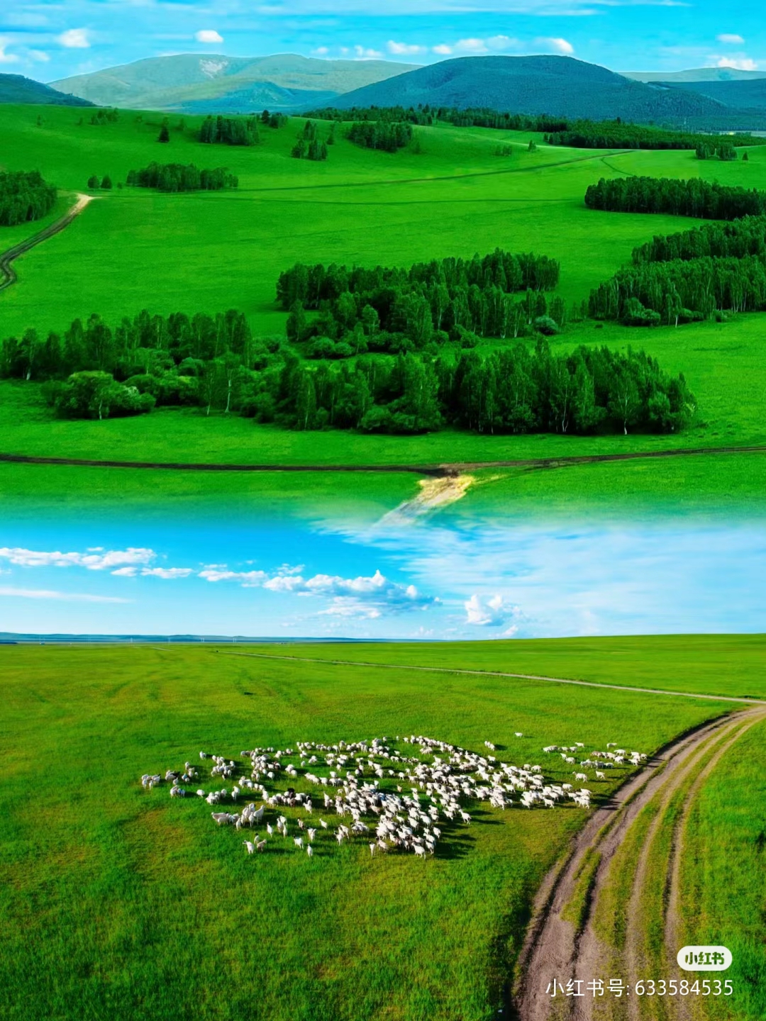 2025年1―9月蒙古工业产值同比下降3.6%