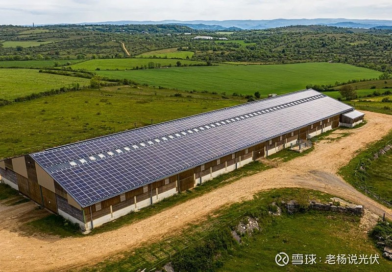 上海交大沈文忠:相关部门正在制定光伏组件标准,标准是功率大小