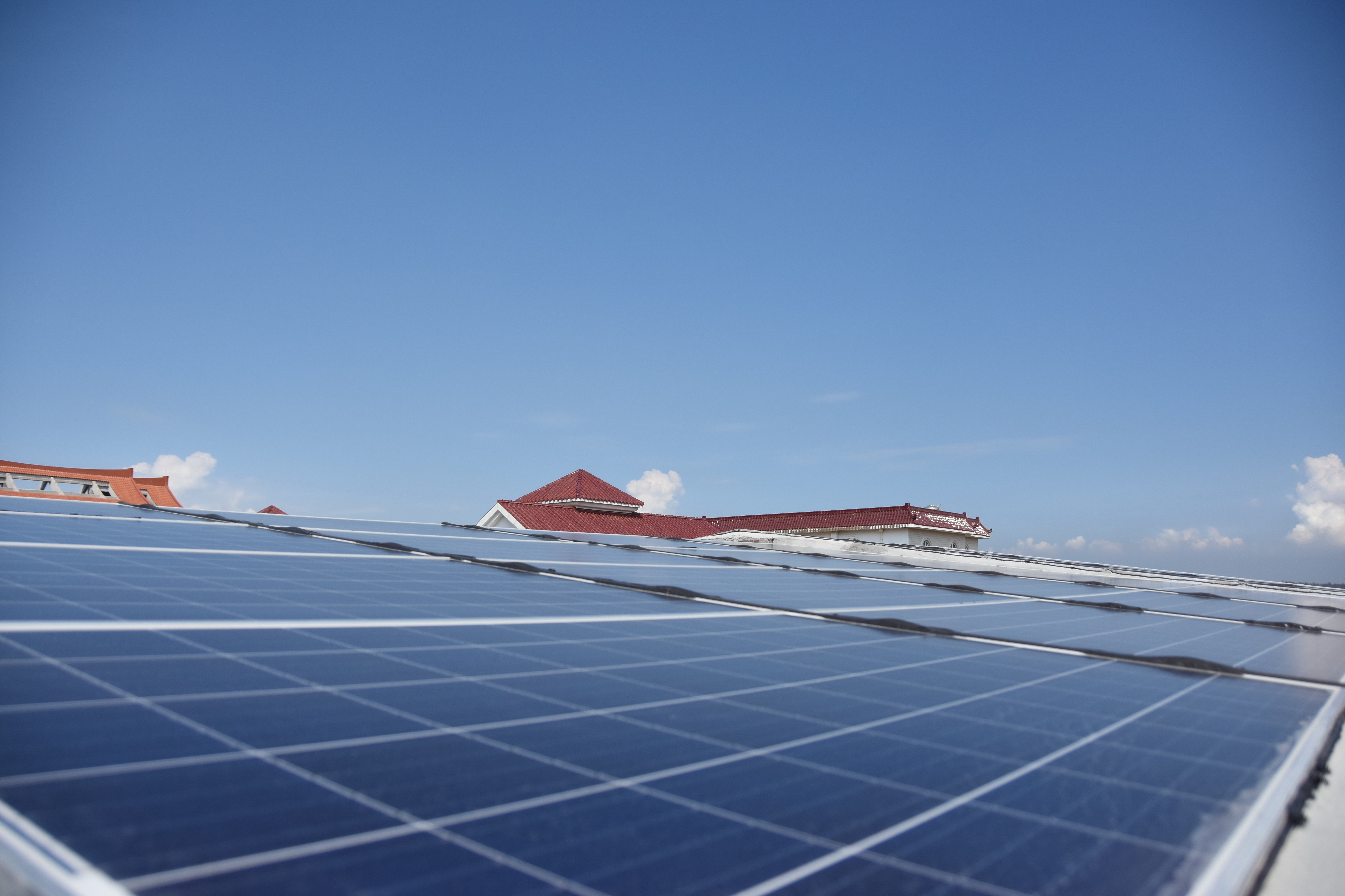 富邦科技番茄公社获碳中和园区认证，探索零碳农业新模式