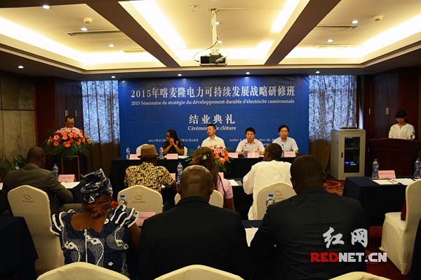 喀麦隆承诺到2030年成为电力出口国