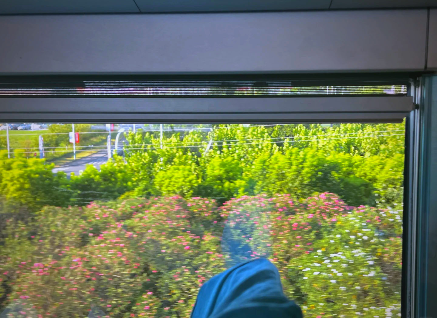 谢赫齐亚布体验上海磁悬浮列车