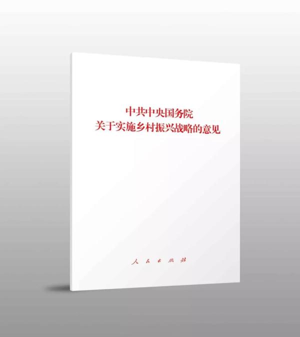 探寻乡村振兴片区化发展的山东密码