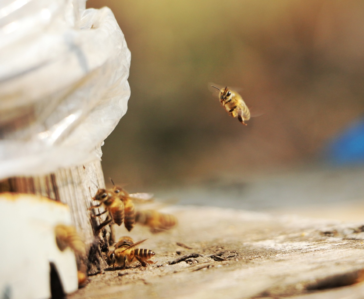现代企业组织变革的“鸳鸯阵” | 微观视界